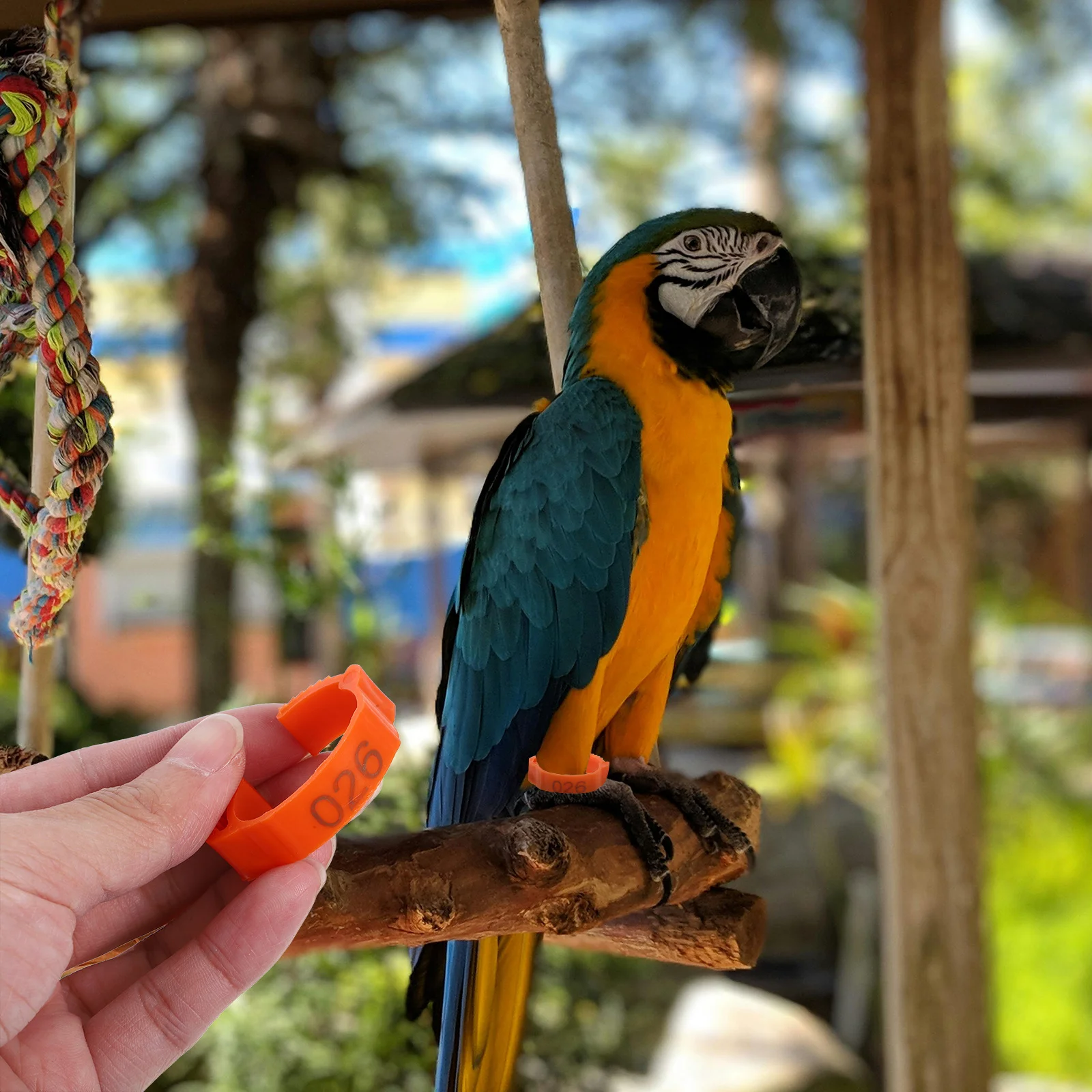 100 шт., ленты для ног для птицы, кольца для ног с куриным номером, надежная посадка, идентификационные бирки для управления разведениями на ферме