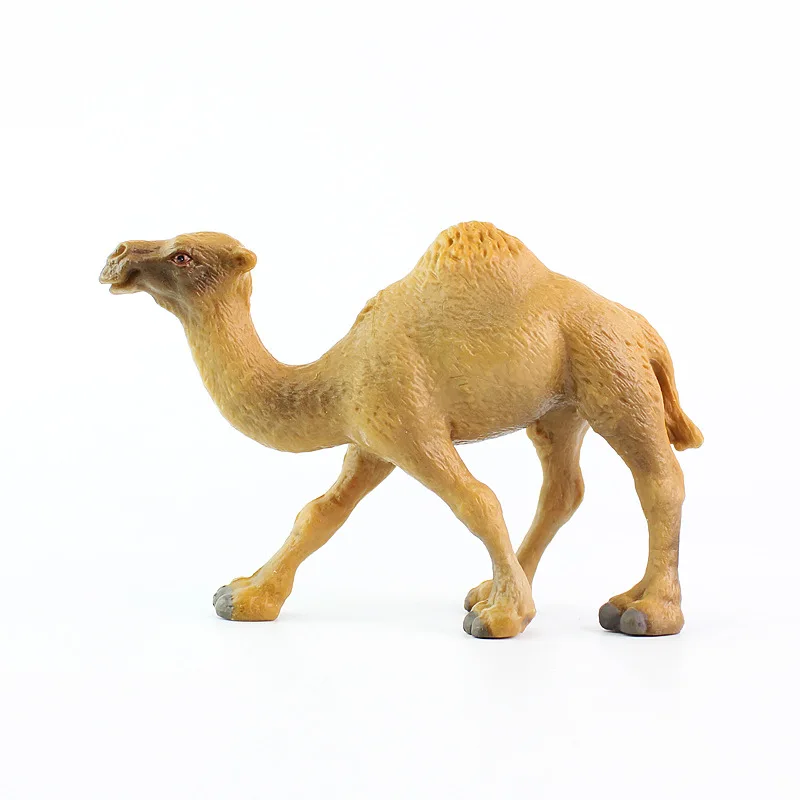 

Realistic Wild Animal Dromedary Camel Toy Figurine Solid Plastic Toy Sculpture Educational Model Creative Wildlife Play Toys