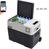 SucceBuy 30L 40L 50L Mini Car Refrigerator Small Fridge Freezer Portable Compressor Cooler 220V for Driving Camping Picnic