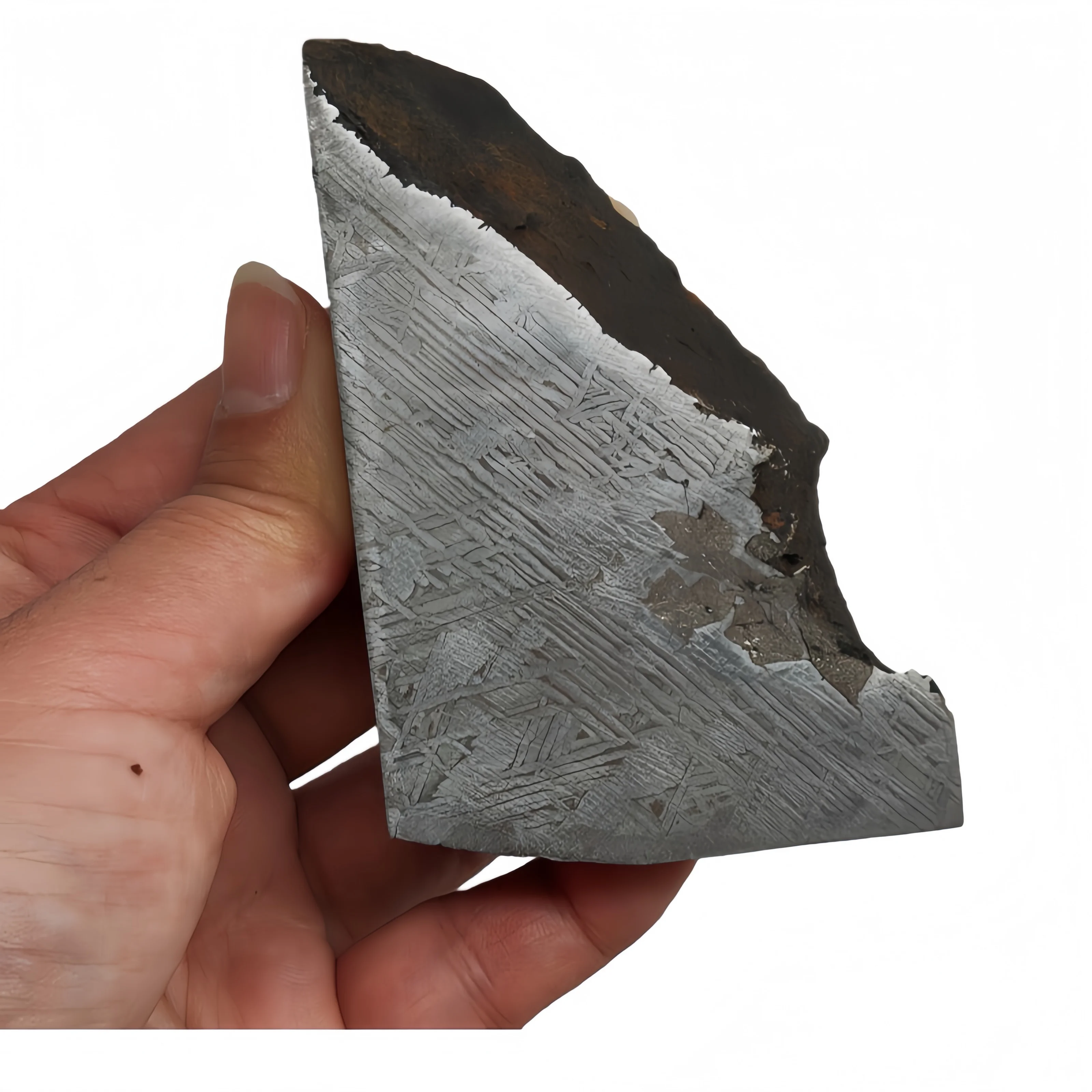 450.6g Muonionalusta meteorite slice Natural iron meteorite material specimen Meteorite slice Collection -TC659