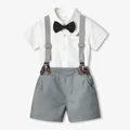 Grey 2458