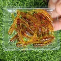 GD38 20pcs 09