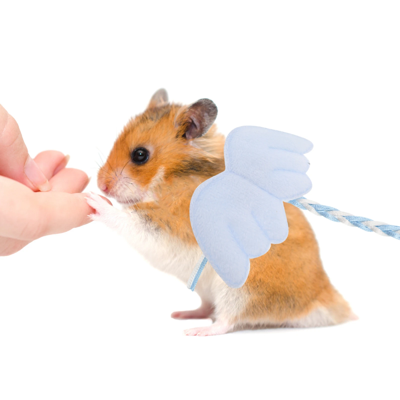 

4 Pcs Hamster Vest Traction Rope Animal Harness Ferret Leash and Accessories Small Animals