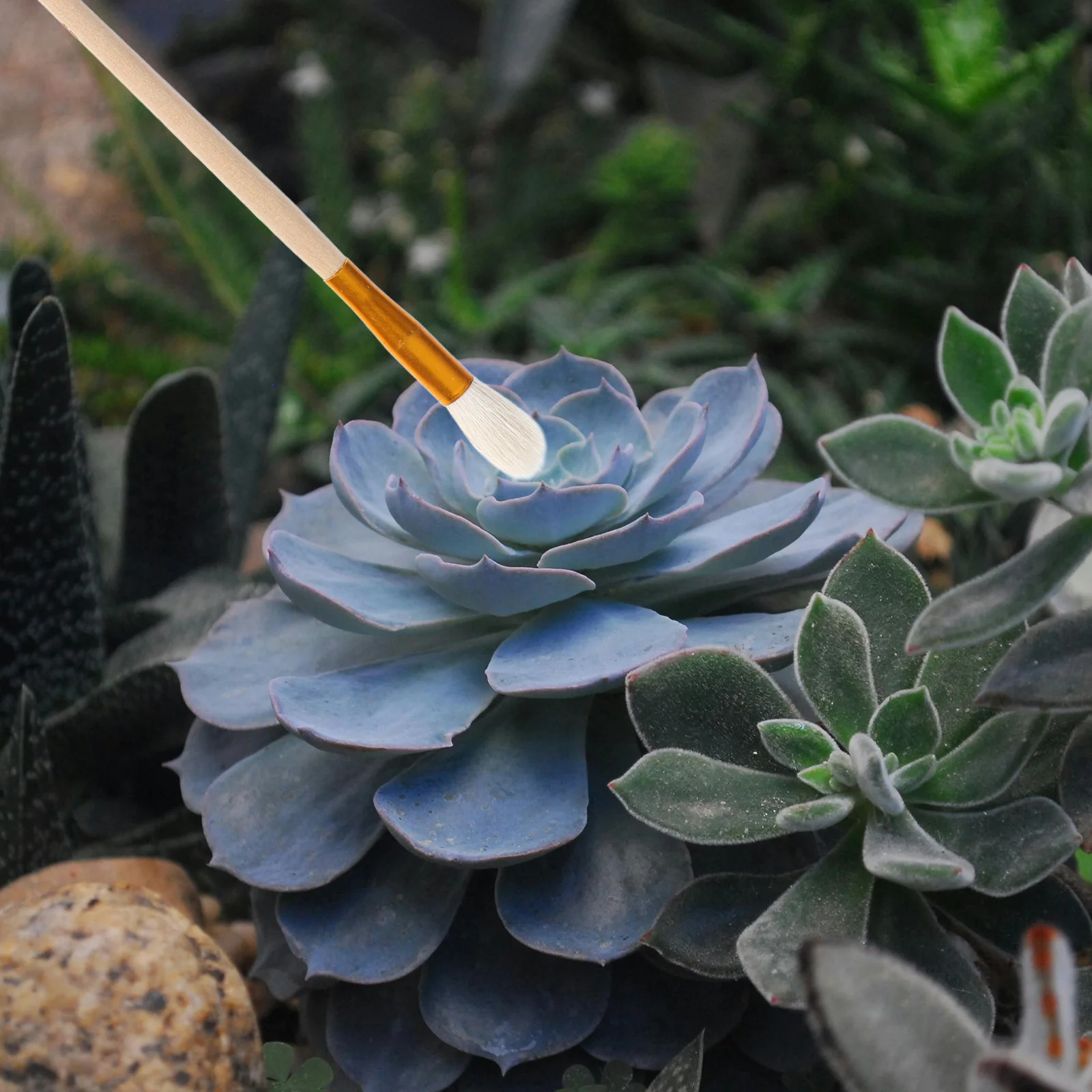 

5Pcs Plant Pollinator Pen Tool for Indoor Garden Succulent Fruit Tree Pollination Brush Hand Pollination Equipment