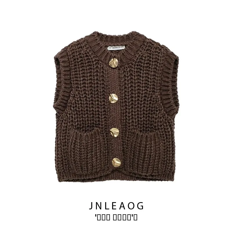 

JNLEAOG Faionable Chunky Knit Vest for Women Autumn New Sle Versatile Design Single Button Closure Polyester Fiber