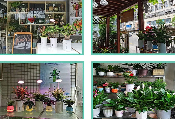 LT315 Technological LED Grow Lights Flower Pots Intelligent Hydroponics Planter Pot Indoor Smart Garden Flower Pot