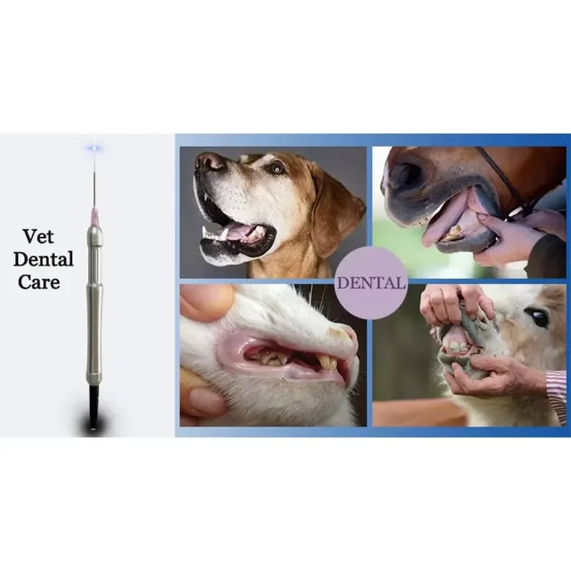 Hot Sales the Most Valuable New Generation 980Nm Wound Heating Pain Relief Pet Veterinary Device Therapy