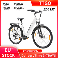 TTGO ZZ-28ST Electric Bike 250W Motor 100KM Max Range 36V 20AH Battery 28\