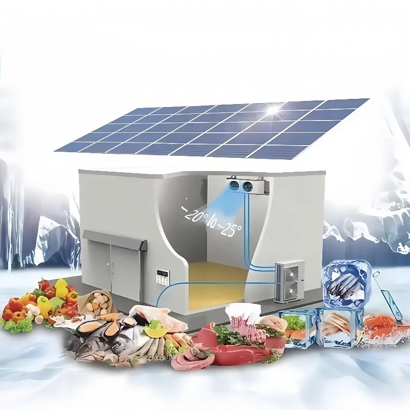 20ft Solar Cold Storage Energy Saving Cold Room Mobile Walk in Freezer for Seafood Vegetable Refrigeration