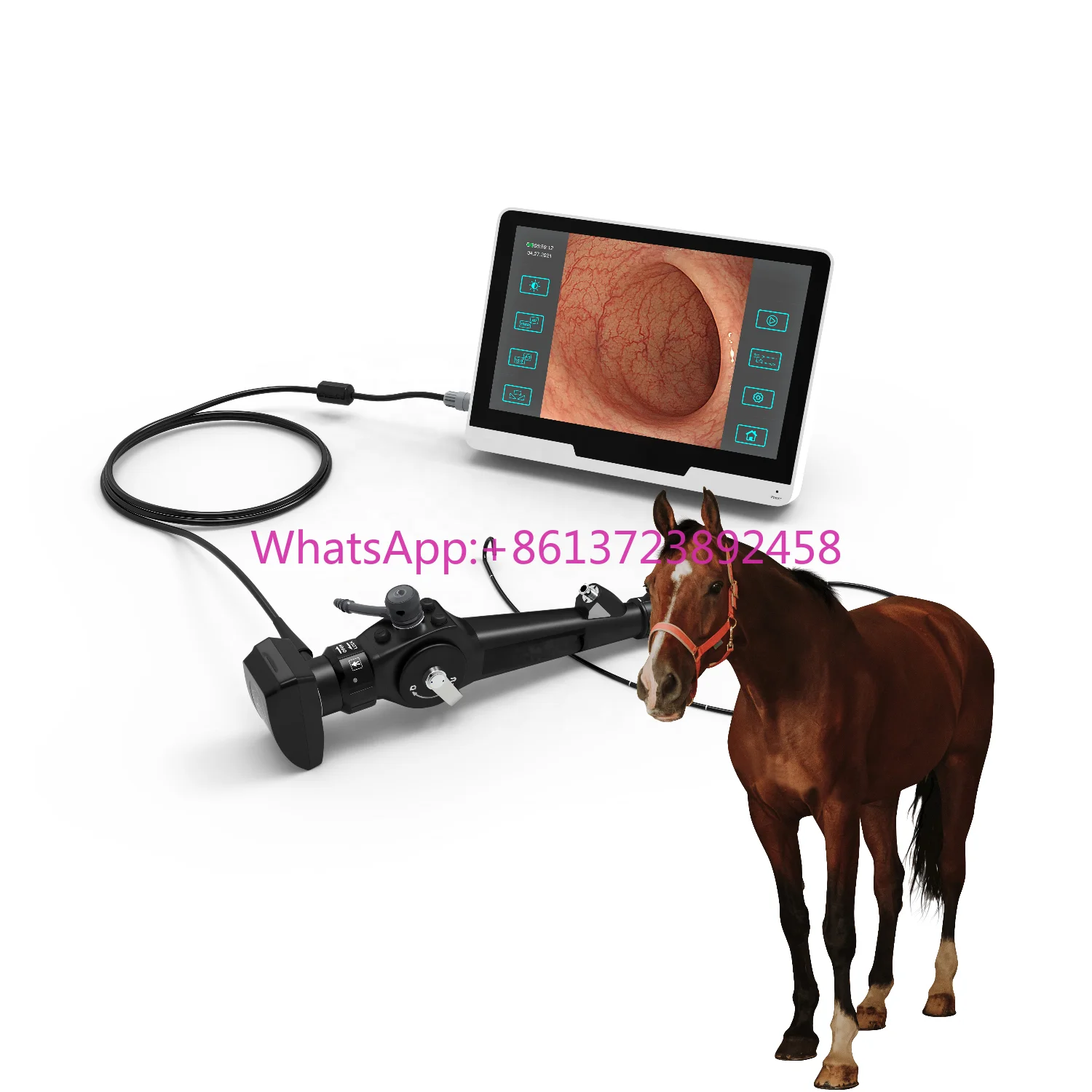

Vericare 5.8mm Camara Endoscopia Veterinary Portable Endoscope VEC-150H with 1500mm Tube for Horse Cattle