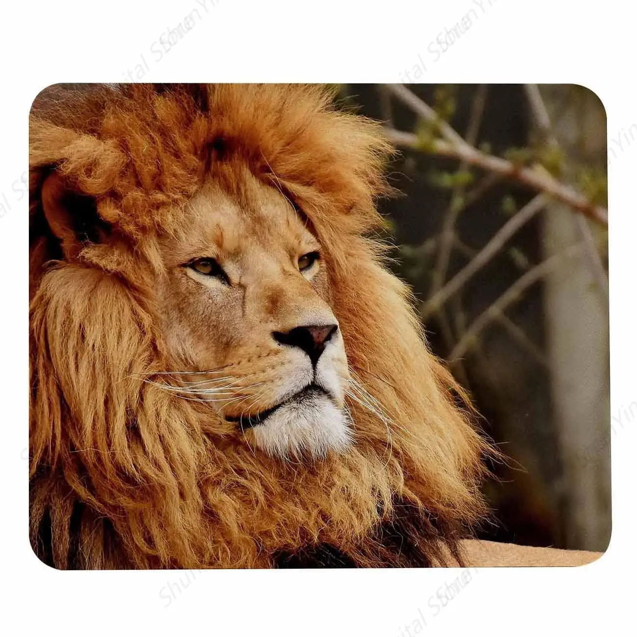 African Lion Anti Slip Rubber Mouse Pad Is Suitable For Computer Mouse Pads In Computers Laptops Games Offices And Homes