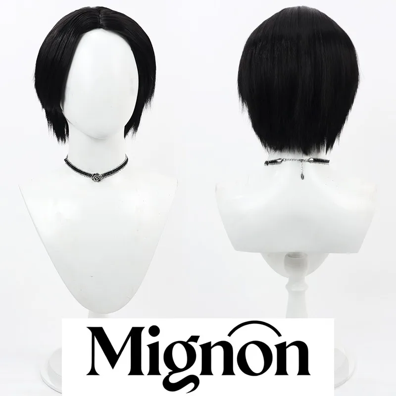 

Kamen Rider Geats Ace Ukiyo cosplay wig rumors short daily style Halloween gift