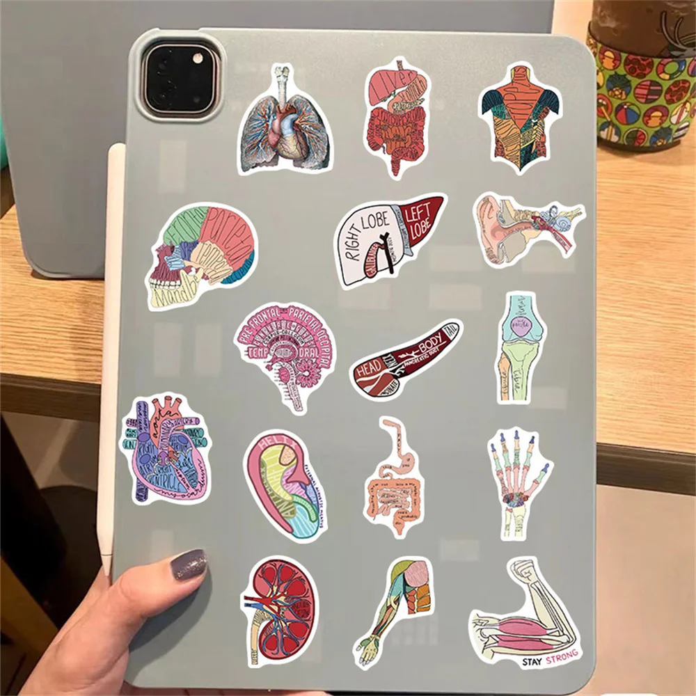 50pcs Cartoon Science Organ Anatomy Stickers For Phone Case Laptop Scrapbook Guitar Sticker Handmade Craft Supplies Vintage