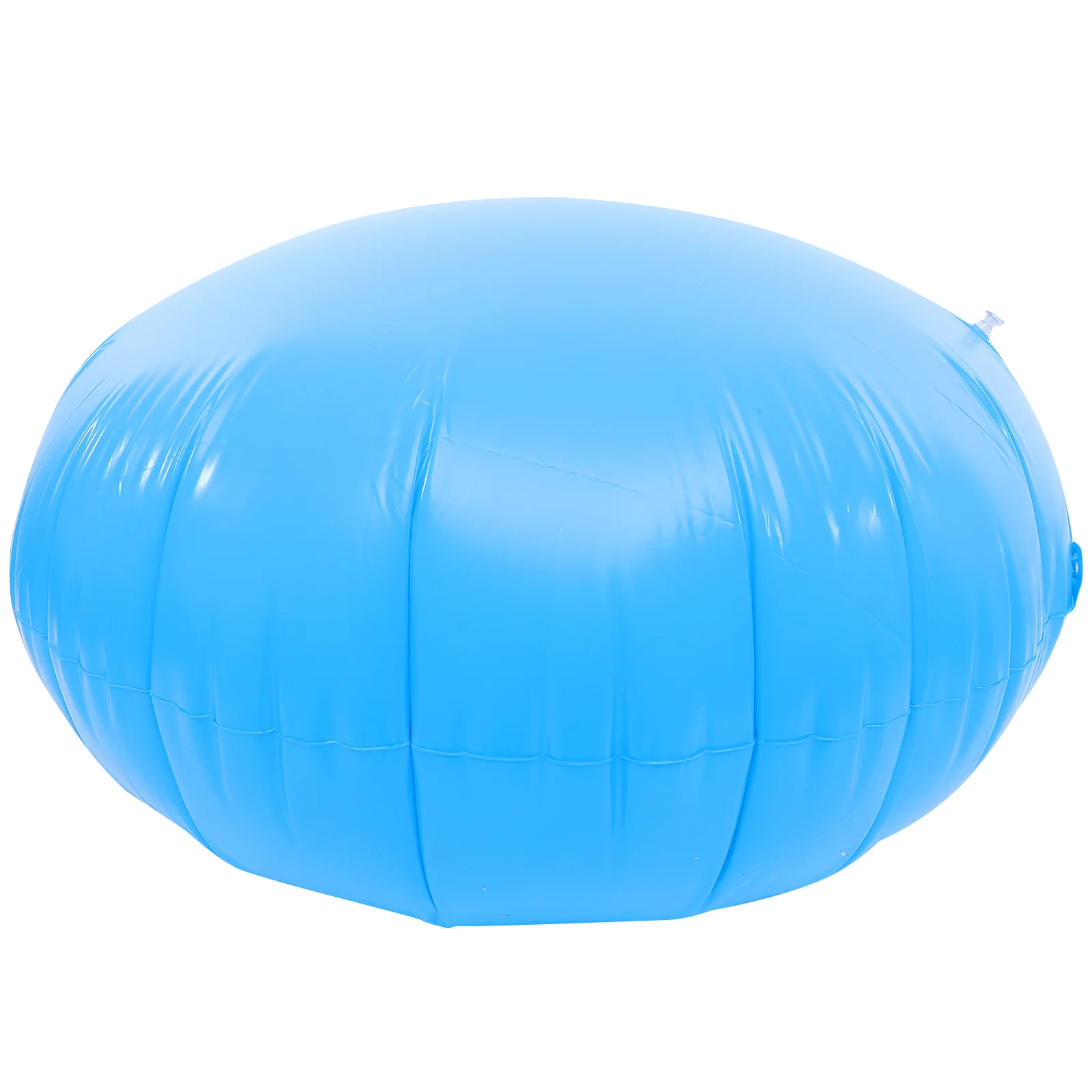 

Winter Swimming Pool Pillow Child Inflatable Float Pvc Floatation for above Ground