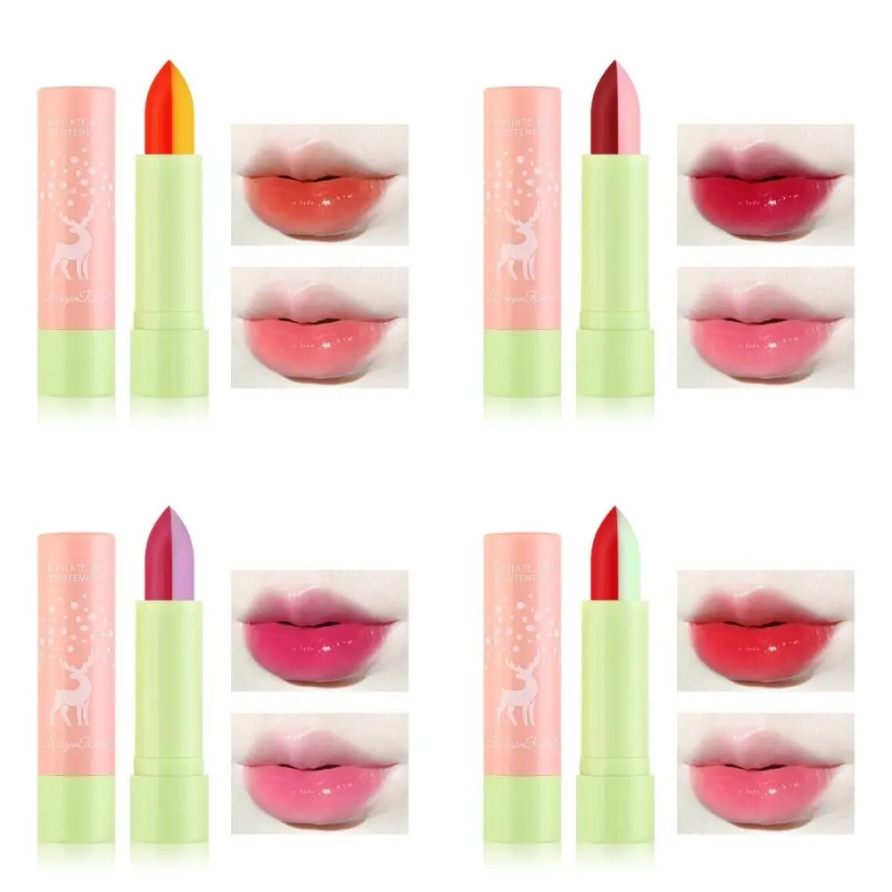 Long Lasting Color Changing Lipstick 4 Colors Macaron Single Double Color Lip Gloss Moisturizing Two-tone Lip Glaze Tint Women