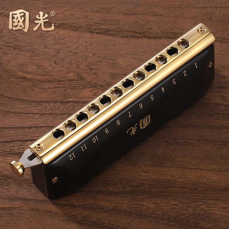 Imported 16 hole chromatic harmonica, self-taught Chinese Dream 12 hole professional performance level instrument