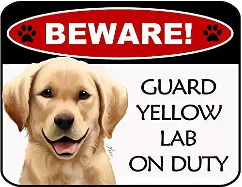 Metal Sign-Top Shelf Novelties Beware Yellow Lab On Duty Laminated Dog Sign SP3130