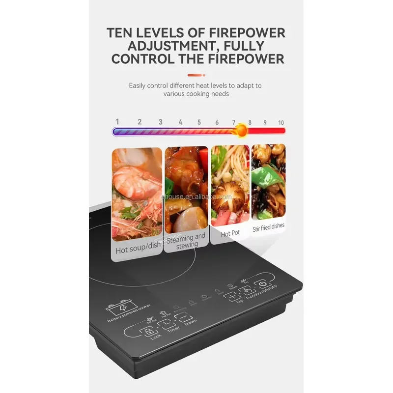 Single 24V/48V Solar DC Induction Stove Battery-Powered Drop-In Desktop Design for Car Hotel Use-1000W 1500W Microlite Panel view 5