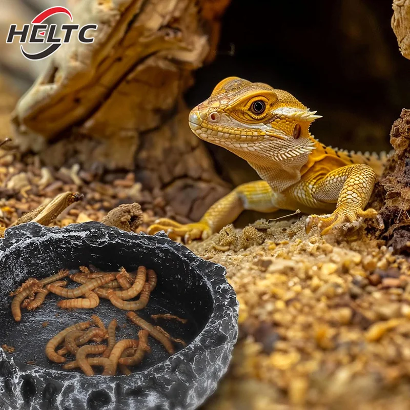 Thumbnail 4 - #19 Reptile Water Bowls Comparison Guide