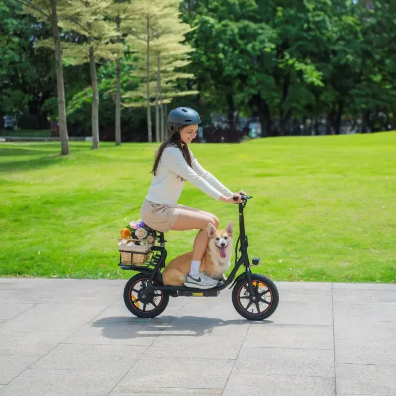 Electric scooter European Union warehouse off-road all-terrain with pneumatic tires and electronic intelligence
