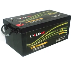 Deep Cycle Lifepo4 12v 200 Amp Hour Lithium Ion Battery for Rv Boat Ev and Solar