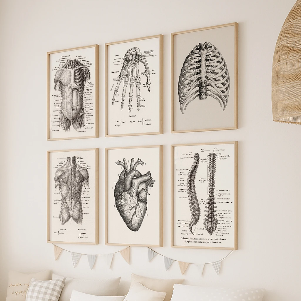 Set mit 6 Anatomie-Leinwandbil – Badminton Poster Bewertung und Preis