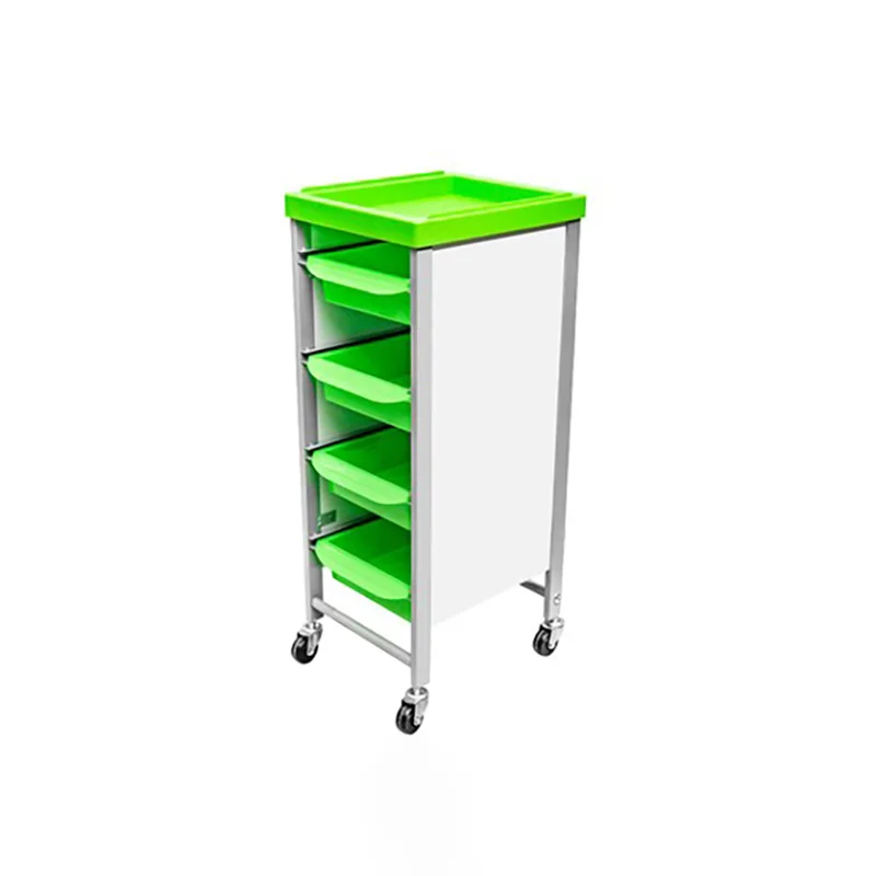 Professional Cool Trolley Aesthetic Luxury Auxiliary Beauty Organizers Trolleys Storage Morden Rollwagen Salon Furniture