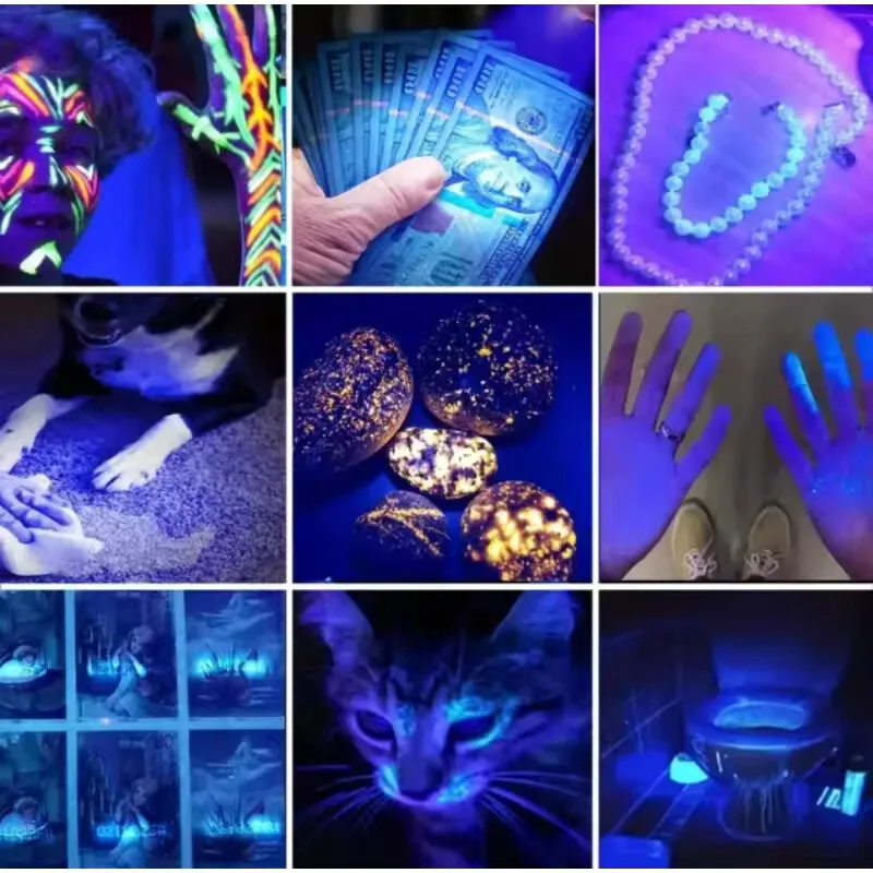 Portable UV Flashlight 365NM ABS Camping Torch with Charging Cable Ultraviolet Flashlights For Pet Stacks Fluorescent Detection