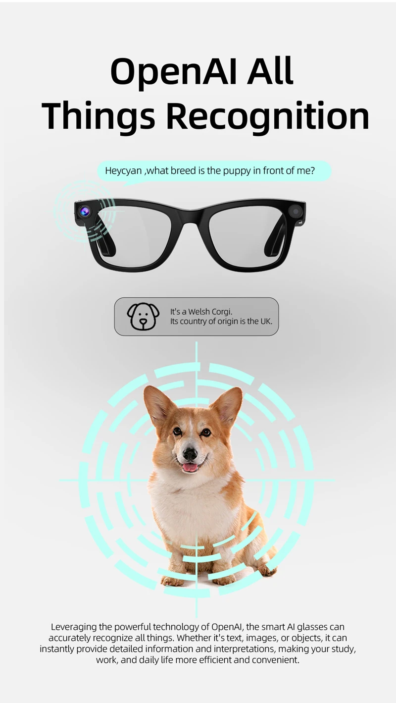 Xiaomi 800W Pixel Intelligent Glasses G300 AI HD Shooting Video Recording Voice Call Translation Glasses Photochromic Lens