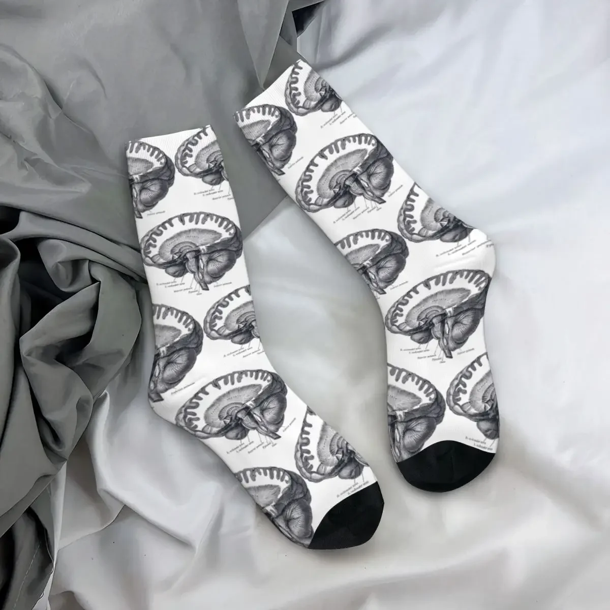 Gehirn Anatomie Socken Harajuku super weiche Strümpfe ganzjährig lange Socken Zubehör für Unisex Geburtstags geschenk