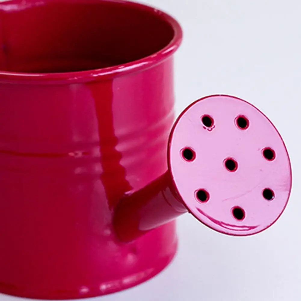 Metal Watering Can for Plants Small Watering Kettle with Handle for Garden Flowers Decorative Floral Vase for Gardening