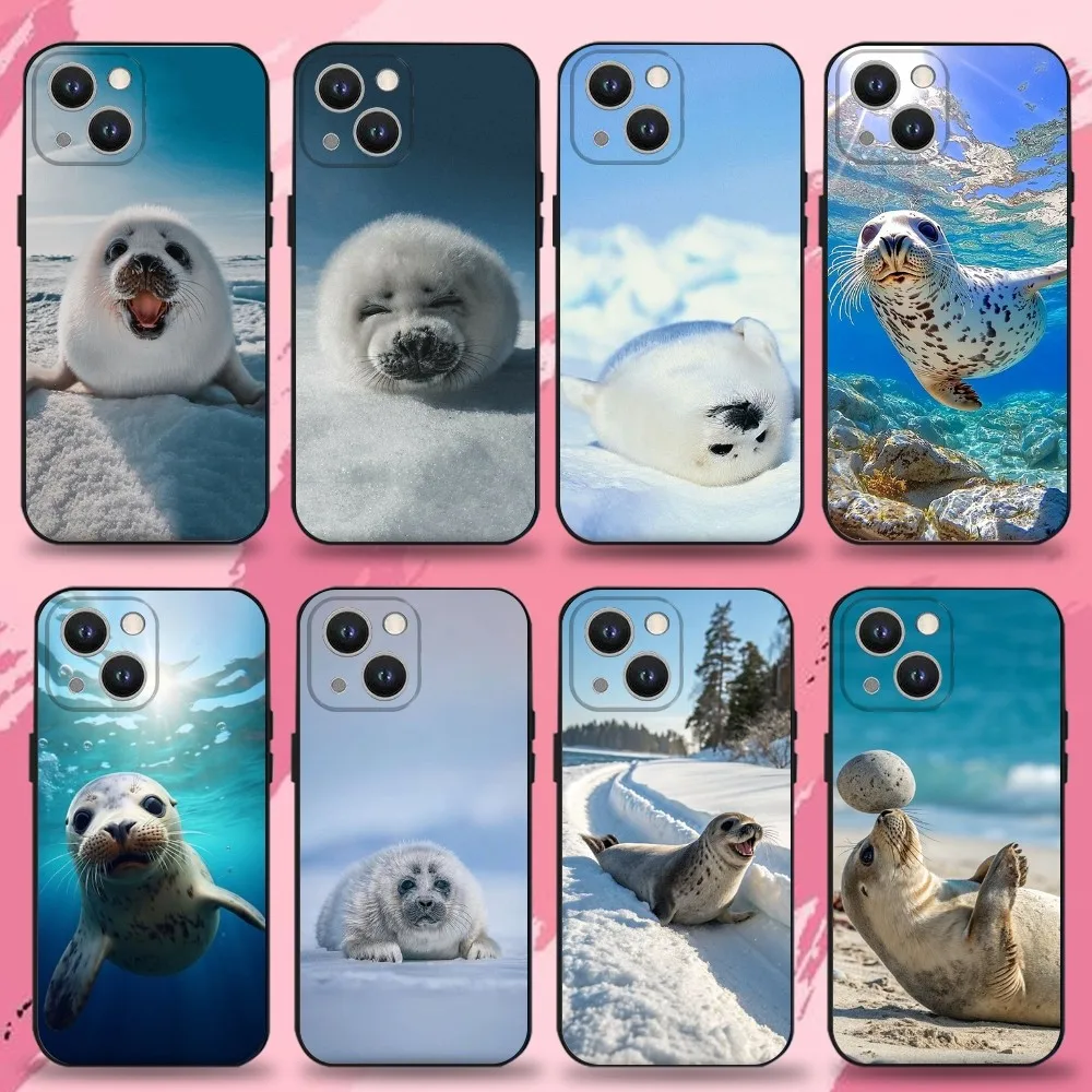 

Seal Animal Cute Phone Case For iPhone 16,15,14,13,12,11 Plus,Pro Max,XS,X,XR,SE,Mini,8,7,Soft Silicone Black Cover