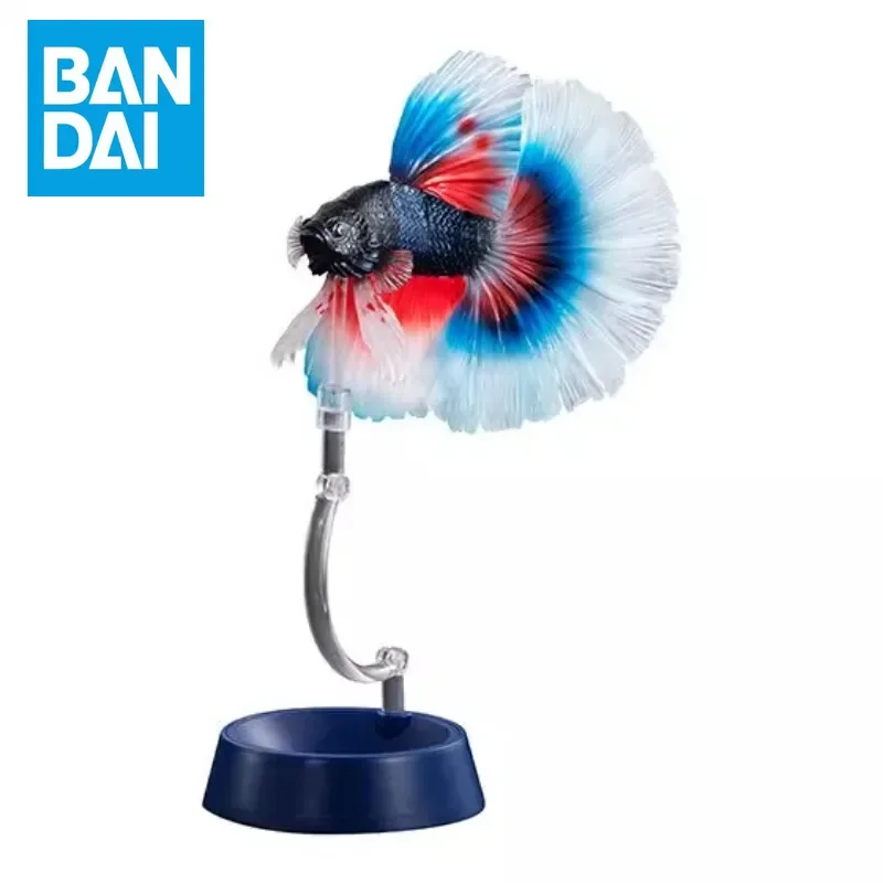 【IN SHELF】BANDAI Anime Biological Encyclopedia Rumble Fish Tropics GASHAPON Gifts or Collection Genuine Action Figure Model Toys