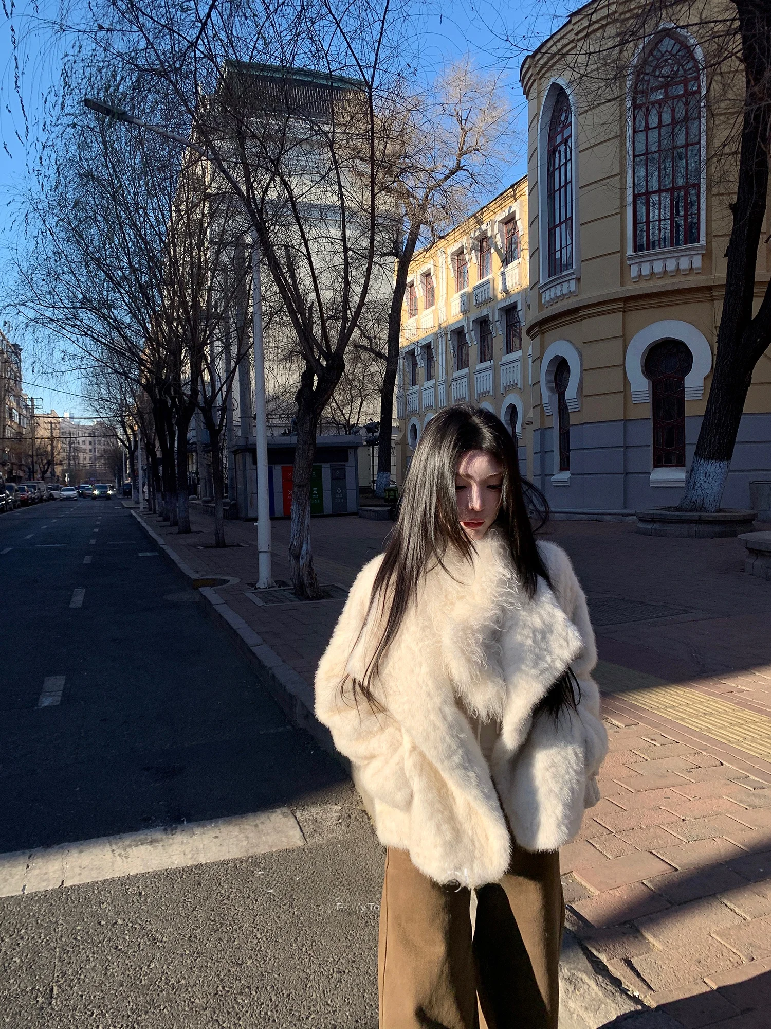 

Экологичная шуба из искусственного меха для женщин: мягкая, уютная, теплая, создающая особую атмосферу, с длинными рукавами, стандартный крой, китайский бренд Z2520