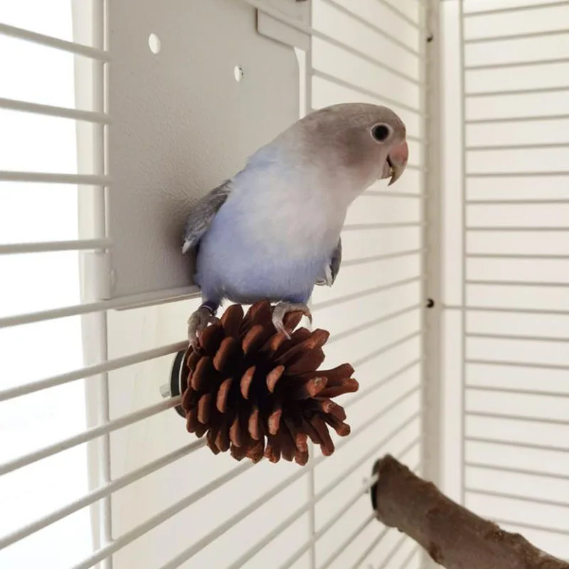 Natural Wood Pine Cones Pet Parrot Toy Bird Biting Exercise Climbing Standing Wooden Toys Pet Parrot Macaw Hammock Bird Toy