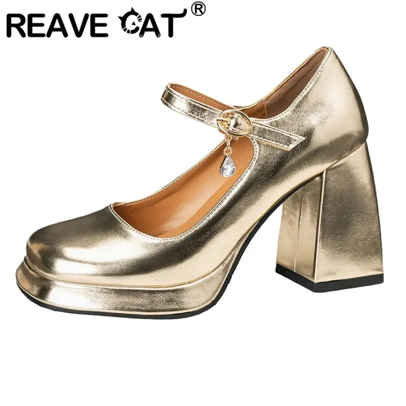 REAVE CAT Silver Mary Janes Women Pumps Square Toe 9cm Block Heel Platform Buckle Strap Plus Size 43 44 45 46 Sweet Dating Shoes