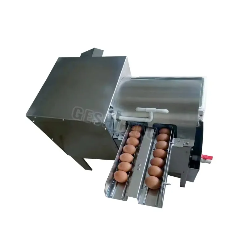 

New Design Double Row Chicken Egg Brushing Washing Machine With High Efficiency