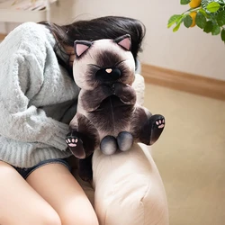 40/50cm Lifelike Siamese Cats Plush Toy simulation American Shorthair Cute Cat Doll Pet Toys Home Decor Gift For birthday