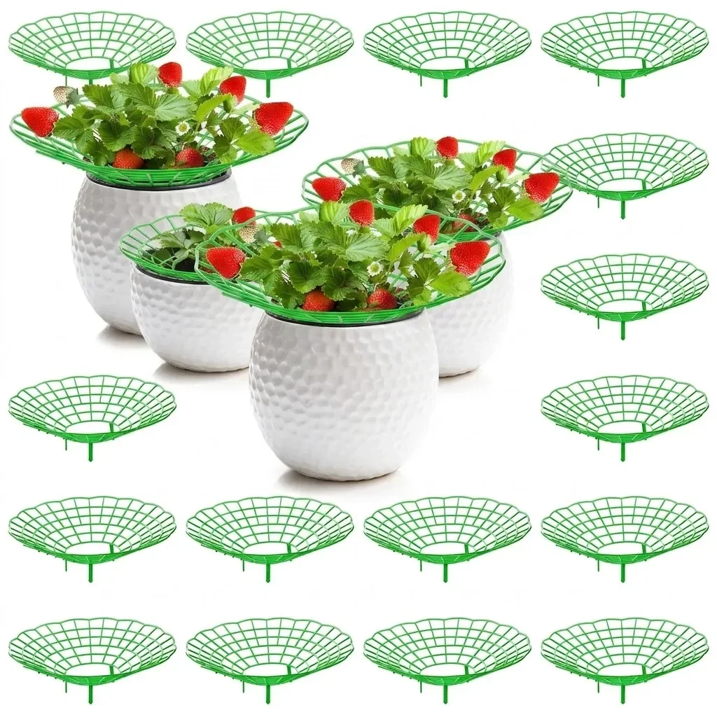10Pcs Vegetable Growing Rack Garden Tools Strawberry Supports Plant Support Stand Racks Protector Frame Holder Cage For Home