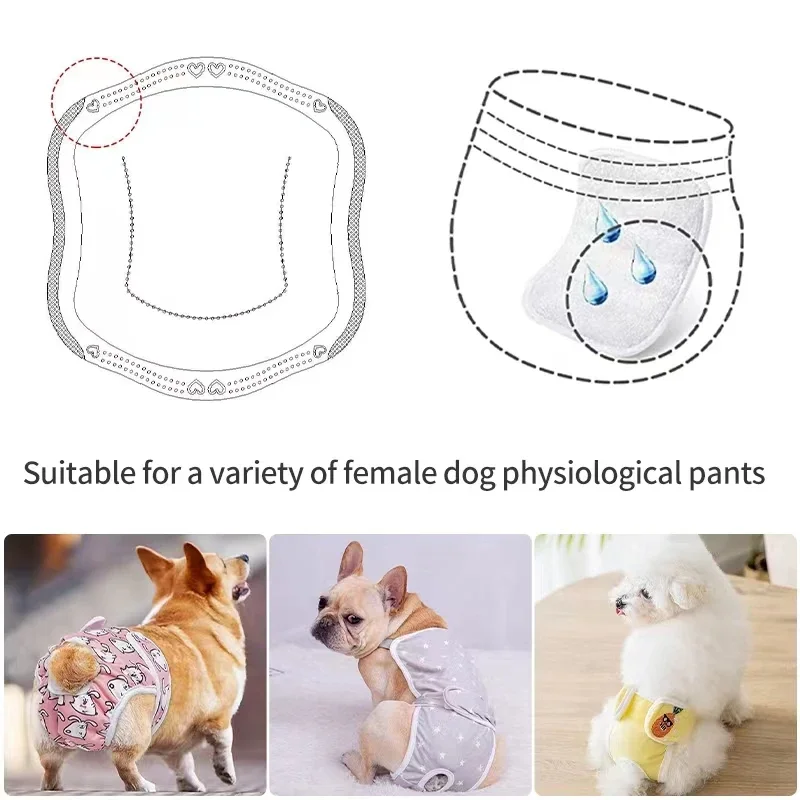 30pcs dog diaper pad women\'s shorts dog diaper pad women\'s sanitary pants disposable physiological fluff