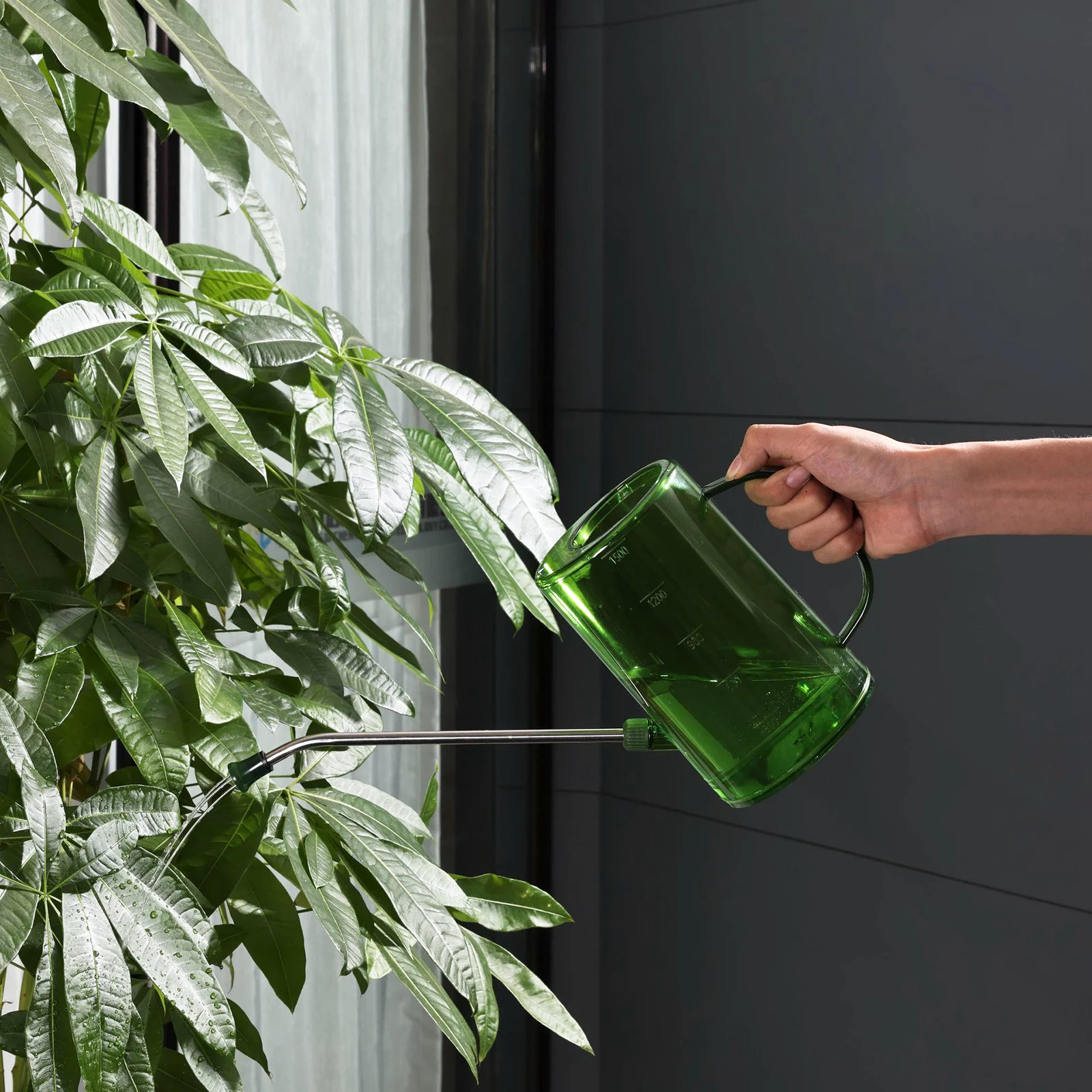 1L Watering Can with Removable Stainless Steel Long Spout Transparent Scale for Indoor Outdoor Precise Watering Plant Flower