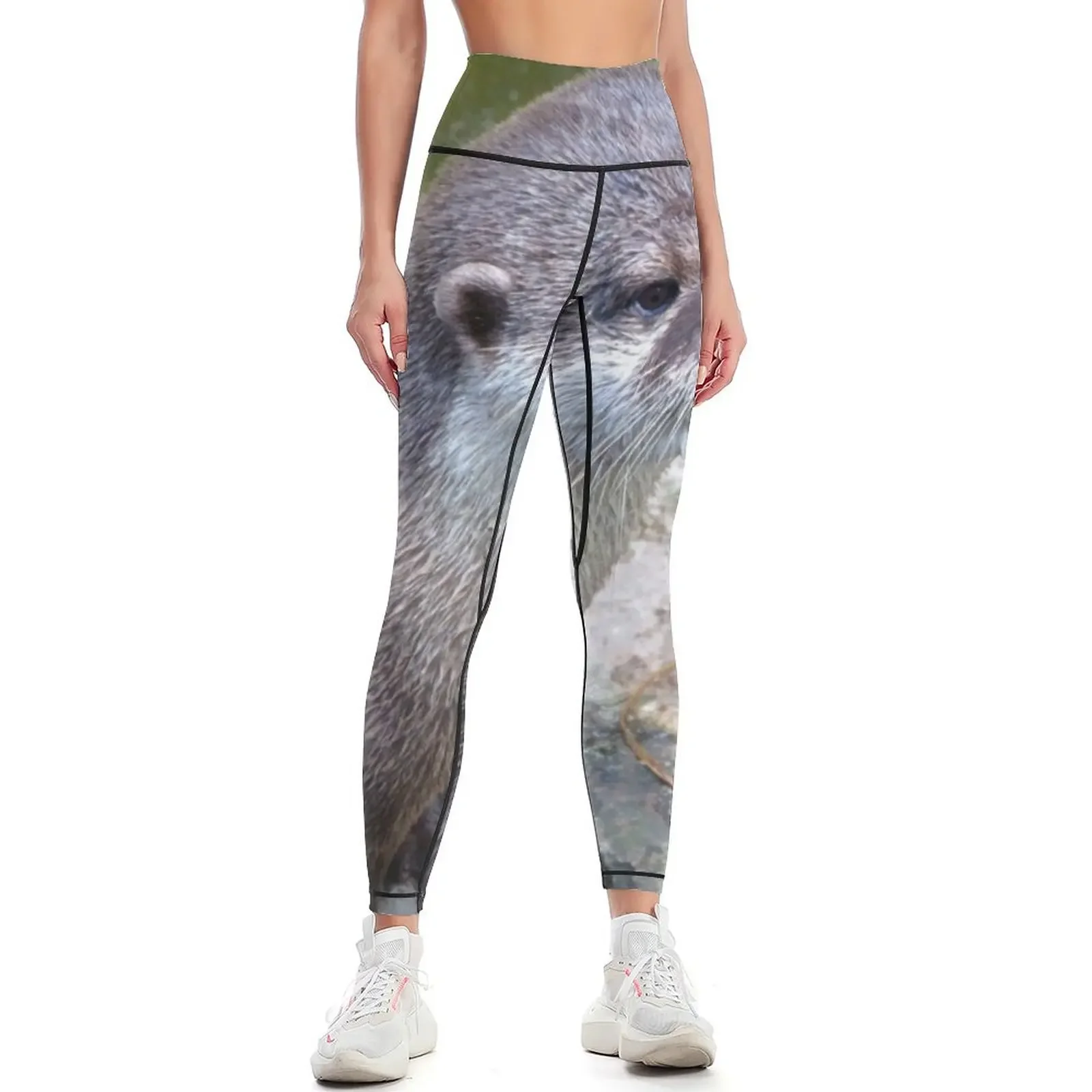 

Otter Leggings Sportswear woman gym gym womans Womens Leggings