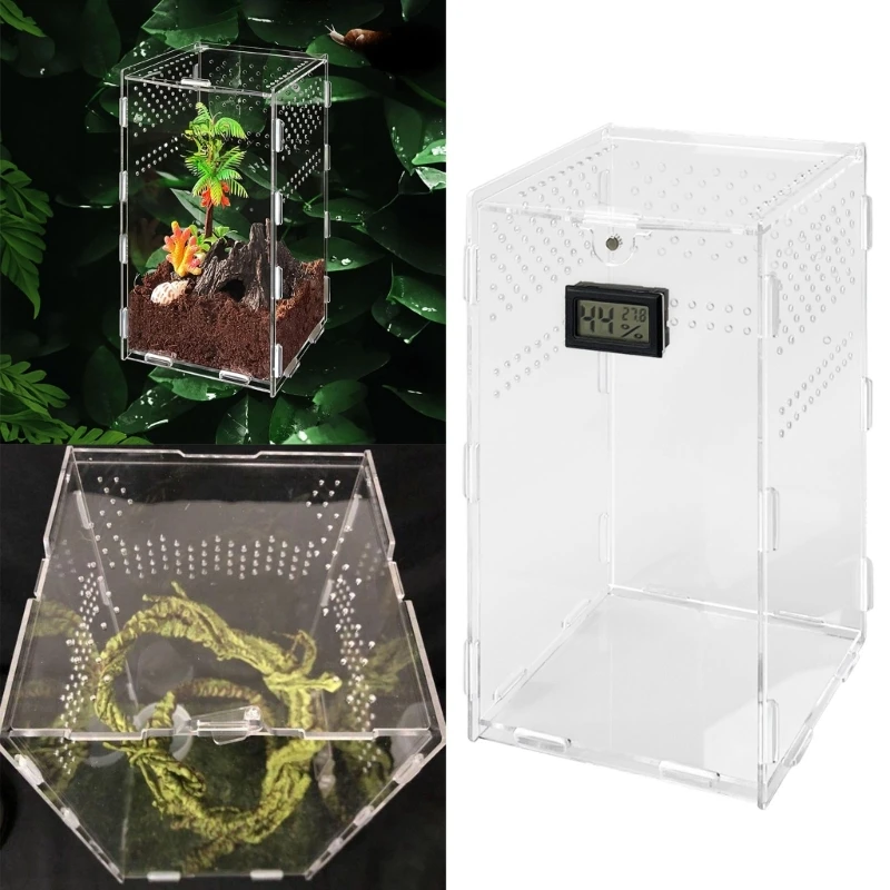 Insect Feeding Box Clear Acrylic Container Terrariums for Spiders Reptiles