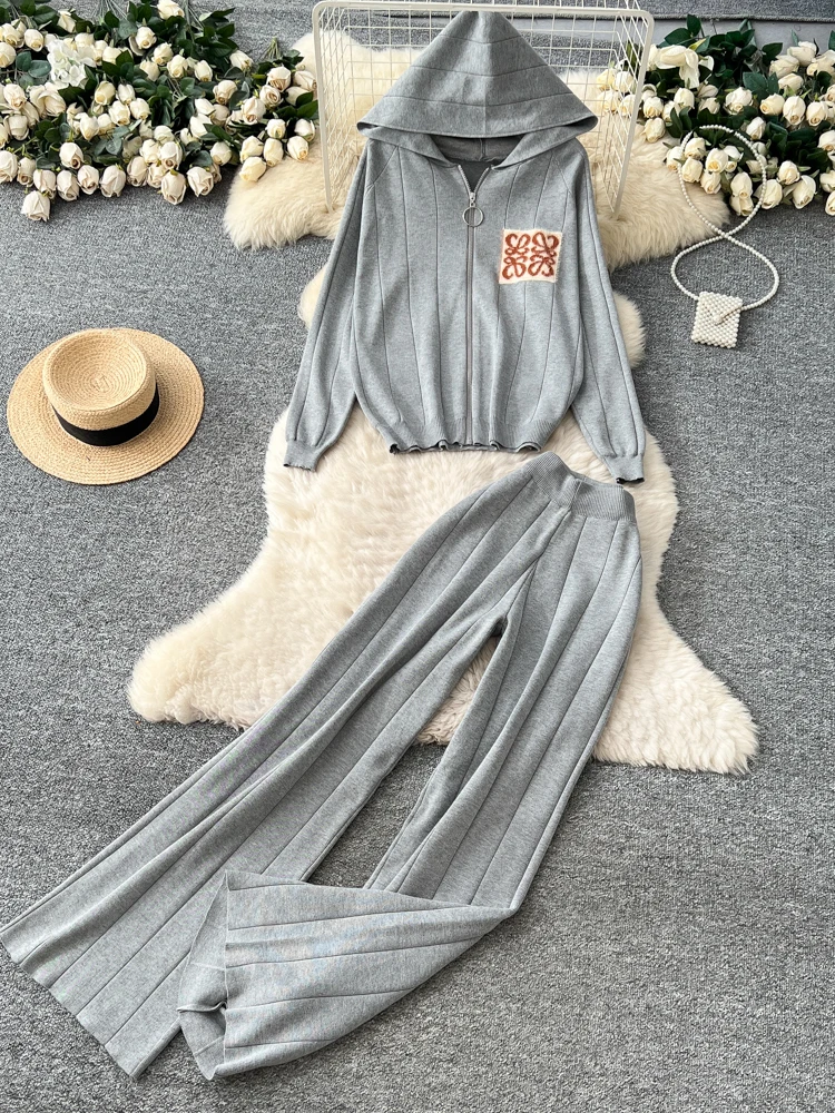 Coreano Sle Abbigliamento sportivo casual Set da due pezzi Donna Allentato Versatile Cerniera con cappuccio Lungo Sve Top lavorato a maglia Pantaloni a gamba larga