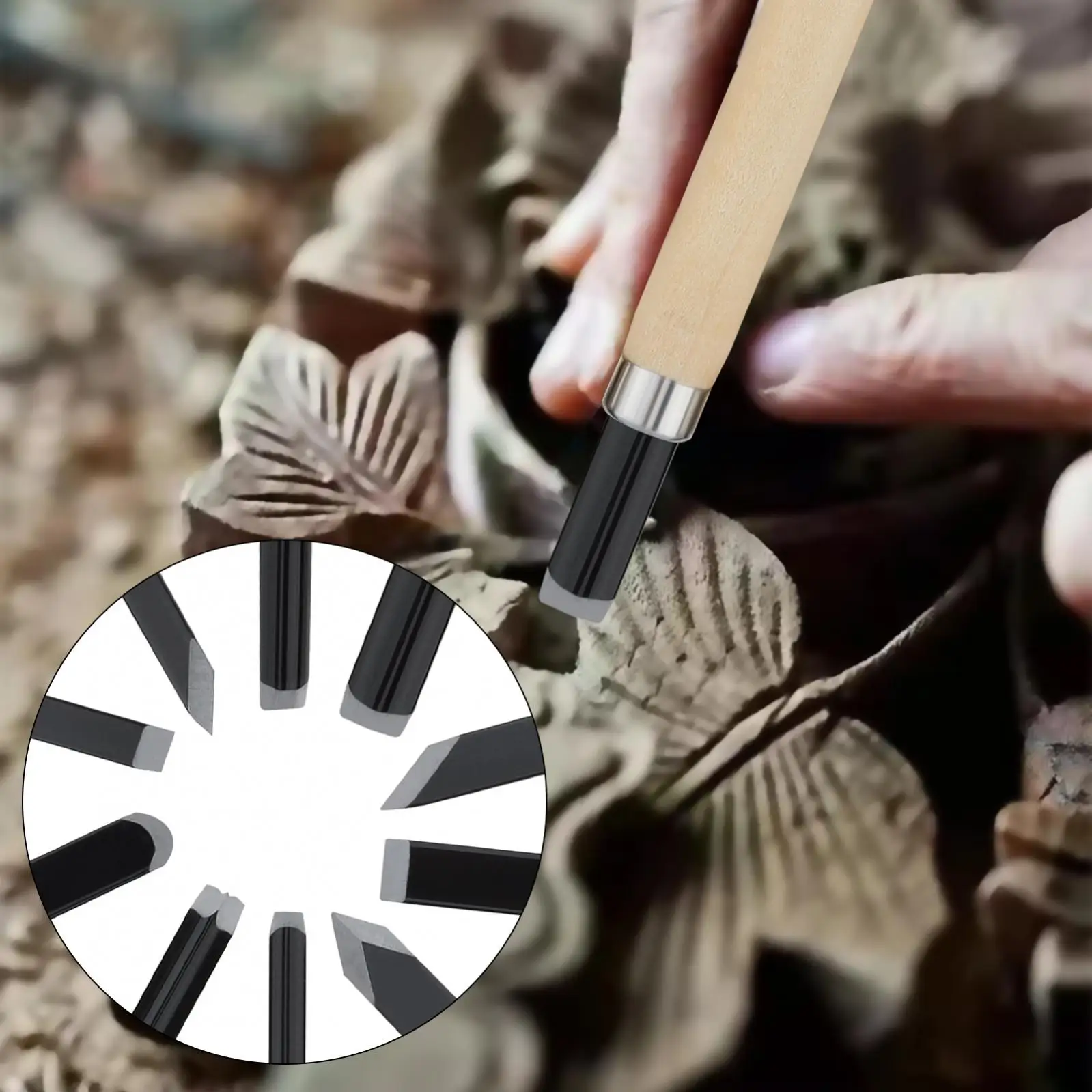 10 قطعة مجموعة إزميل نحت الخشب أدوات نحت الخشب