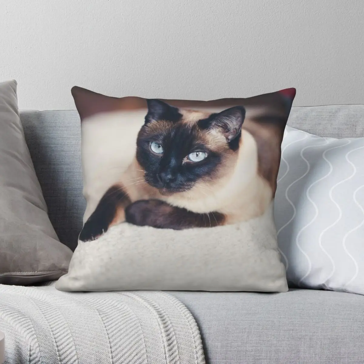 Sleeping Siamese Cat Pillowcase Polyester Linen Velvet Pattern Zip Decor Pillow Case Car Cushion Case 18