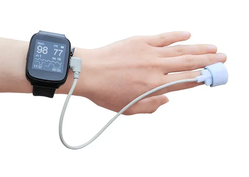 2025/Body ing  , pulse rate, respiration sleep ing