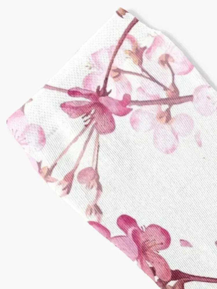 جوارب ساكورا تشيري بلوسوم هدية لركوب الدراجات، جوارب مضادة للانزلاق للسيدات والرجال