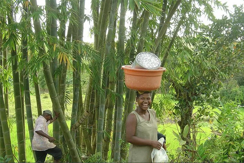 Jabón hecho a mano de carbón de bambú para mujer, Bikini oscuro, jabón de aceite esencial para blanquear la Vagina, África, Nigeria, Envío Gratis