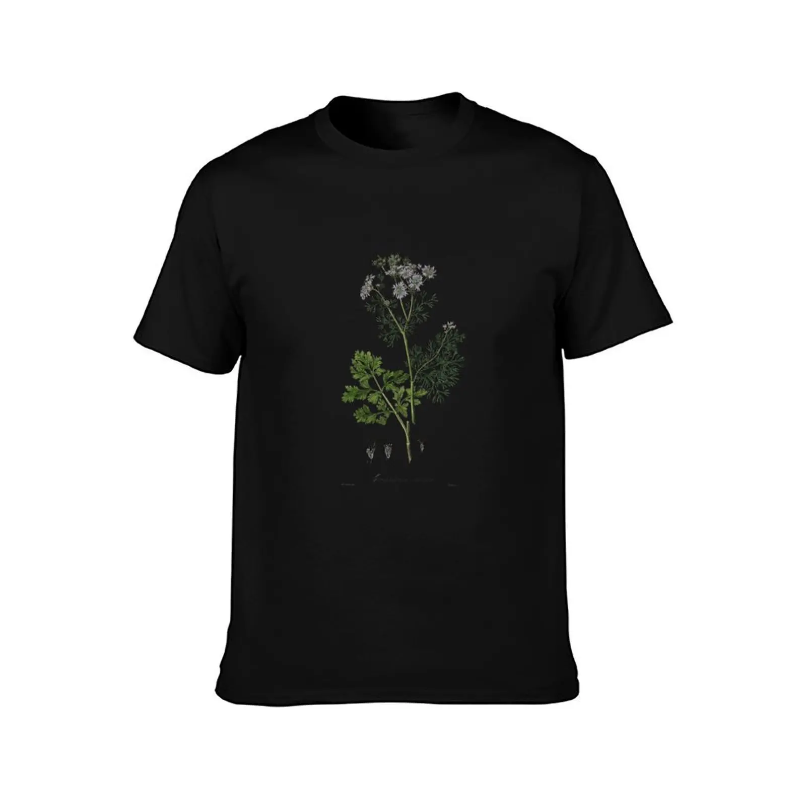 Coriander/Cilantro Vintage Botanical Illustration T-Shirt t shirts for man cotton T-Shirt